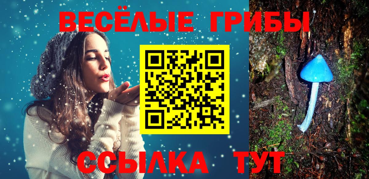 Галлюциногенные грибы прущие грибы  Вход с VPN  Горячий Ключ 